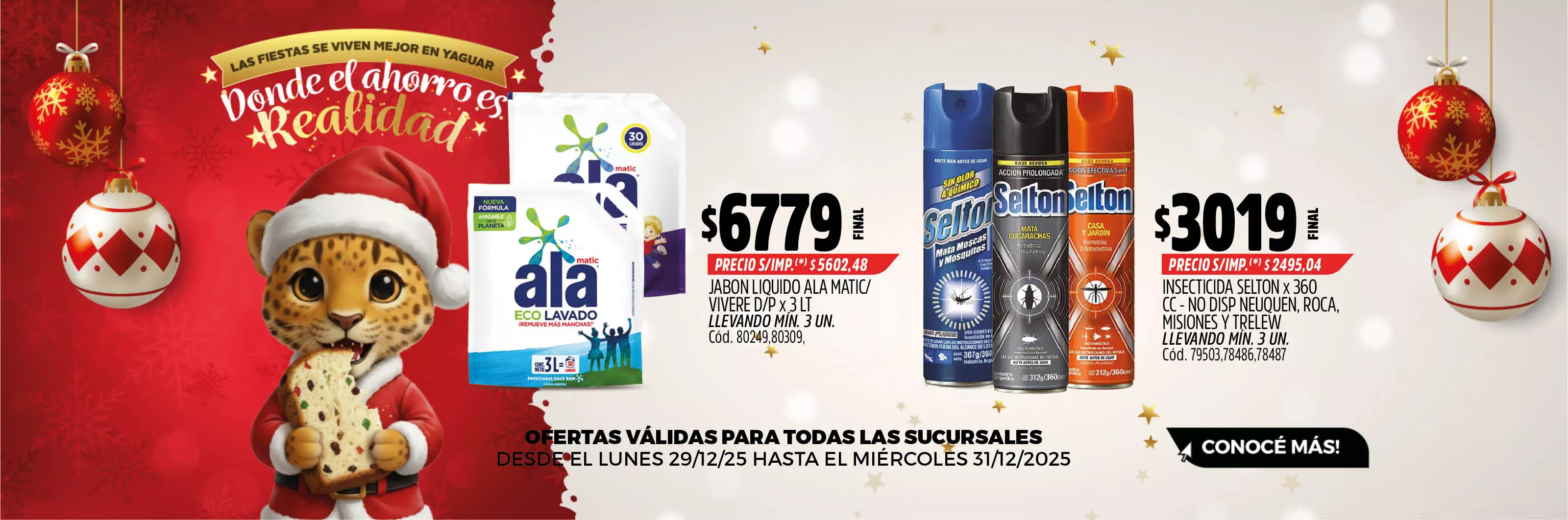 SliderPrincipal - Slide 9